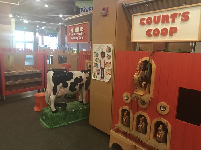 Cow and chicken models in a children's science center