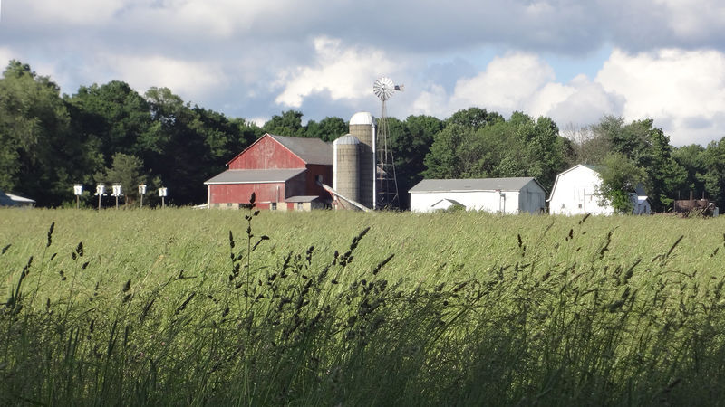 an Amish farm