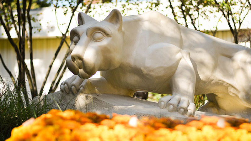 Lion Shrine in the fall with mums in the foreground