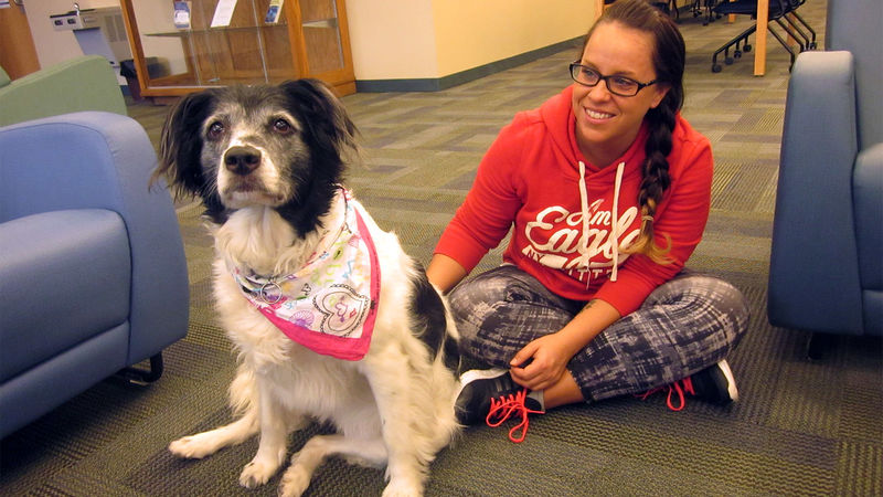 a therapy dog sits with student Dani Johnson in the library