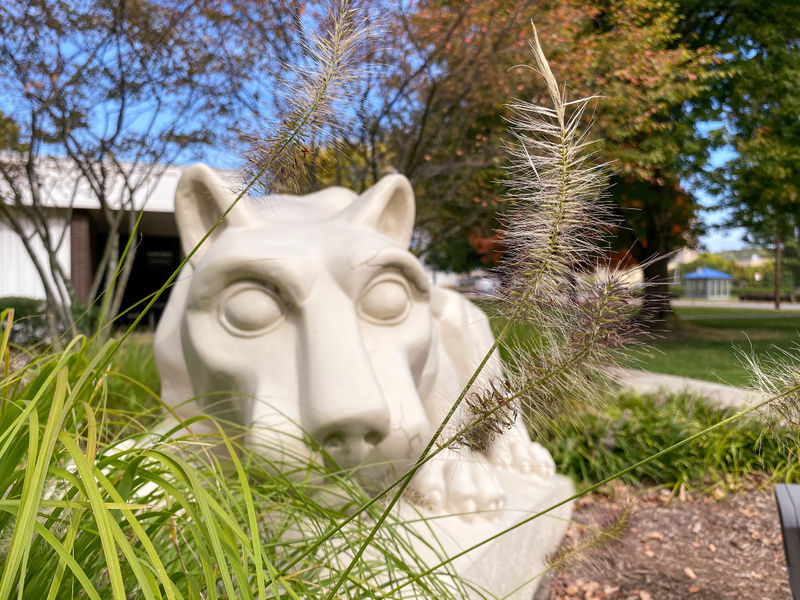 Nittany Lion Shrine with grasses in foreground