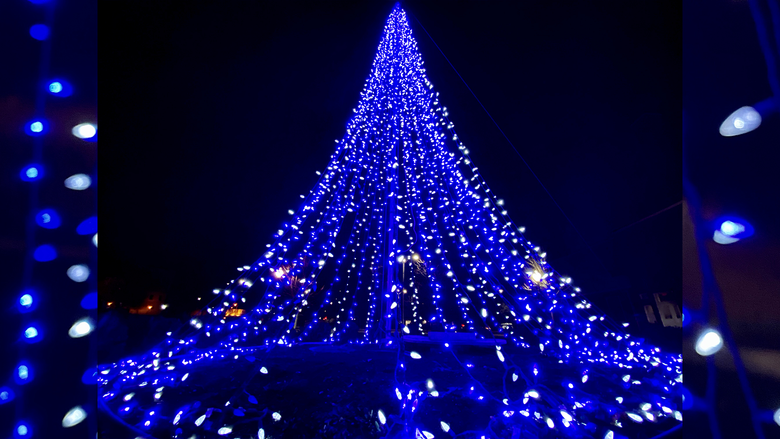 Strands of blue and white lights are strung to form a holiday tree on campus