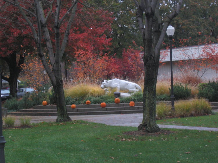 Shenango campus Nittany Lion statue with jack-o'-lanterns 