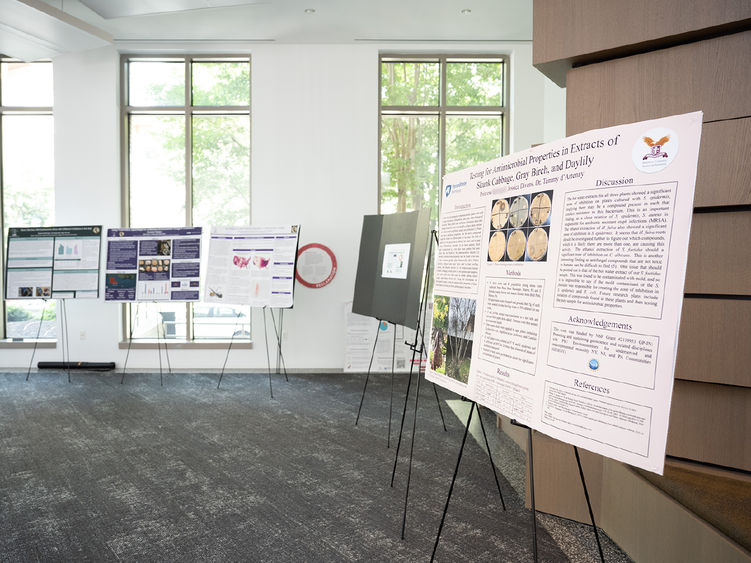research posters on easels