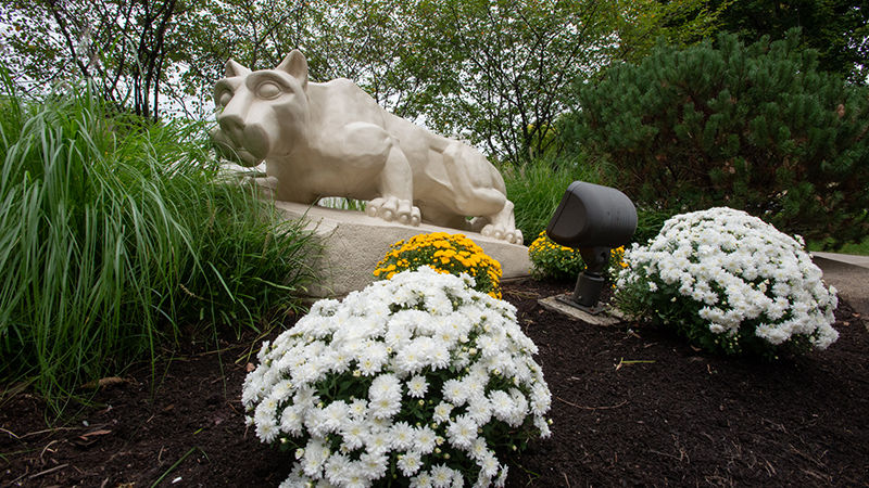 Lion Shrine with flowers in foreground. 