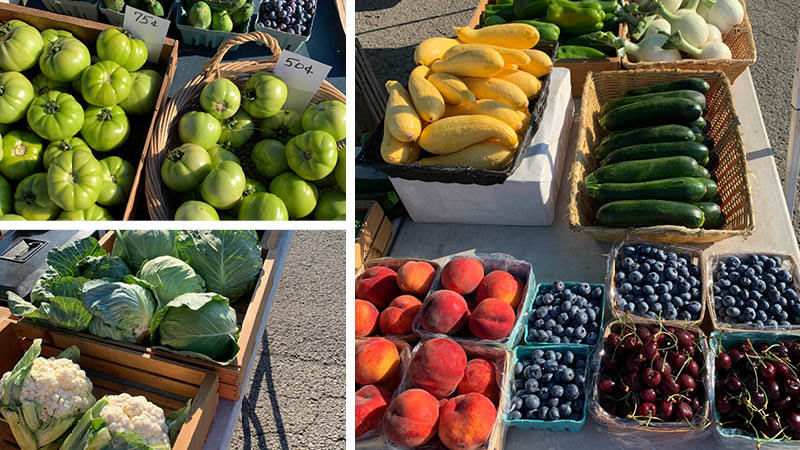 Green tomatoes, cauliflower, cabbage, peaches, blueberries, cherries, and squash.